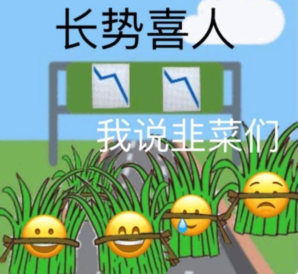 二舅火了<strong></p>
<p>火币官网</strong>，但“二舅币”崩了