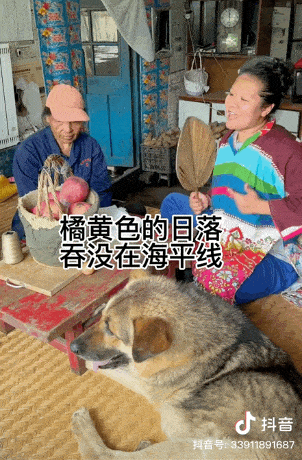 她是中国第一快嘴女rapper？火遍全网<strong></p>
<p>火币网国际版</strong>，车澈乡村在逃版？