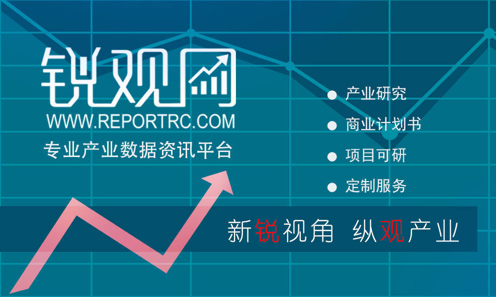 2023-2028年中国比特币产业投资深度分析及前景预测报告