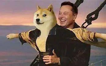 狗狗币是啥<strong></p>
<p>莱特币行情</strong>？为啥马斯克喜欢它？为啥在Twitter被收购后5天翻倍？