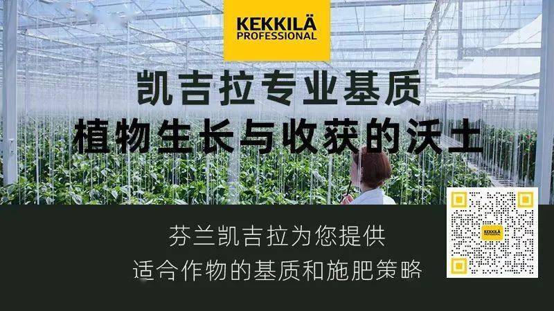 最新<strong></p>
<p>比特币行情最新价格</strong>，没停！今日尿素价格，继续上涨！11月17日全国尿素价格行情