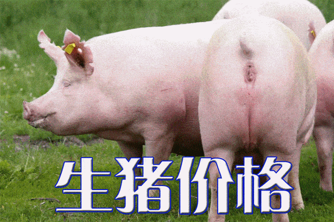 今日生猪价格｜全国生猪价格稳中略有涨跌<strong></p>
<p>比特币今日价格行情</strong>，行情不温不火
