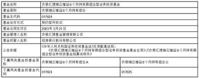 农银汇理瑞云增益6个月持有期混合型证券投资基金基金合同生效公告