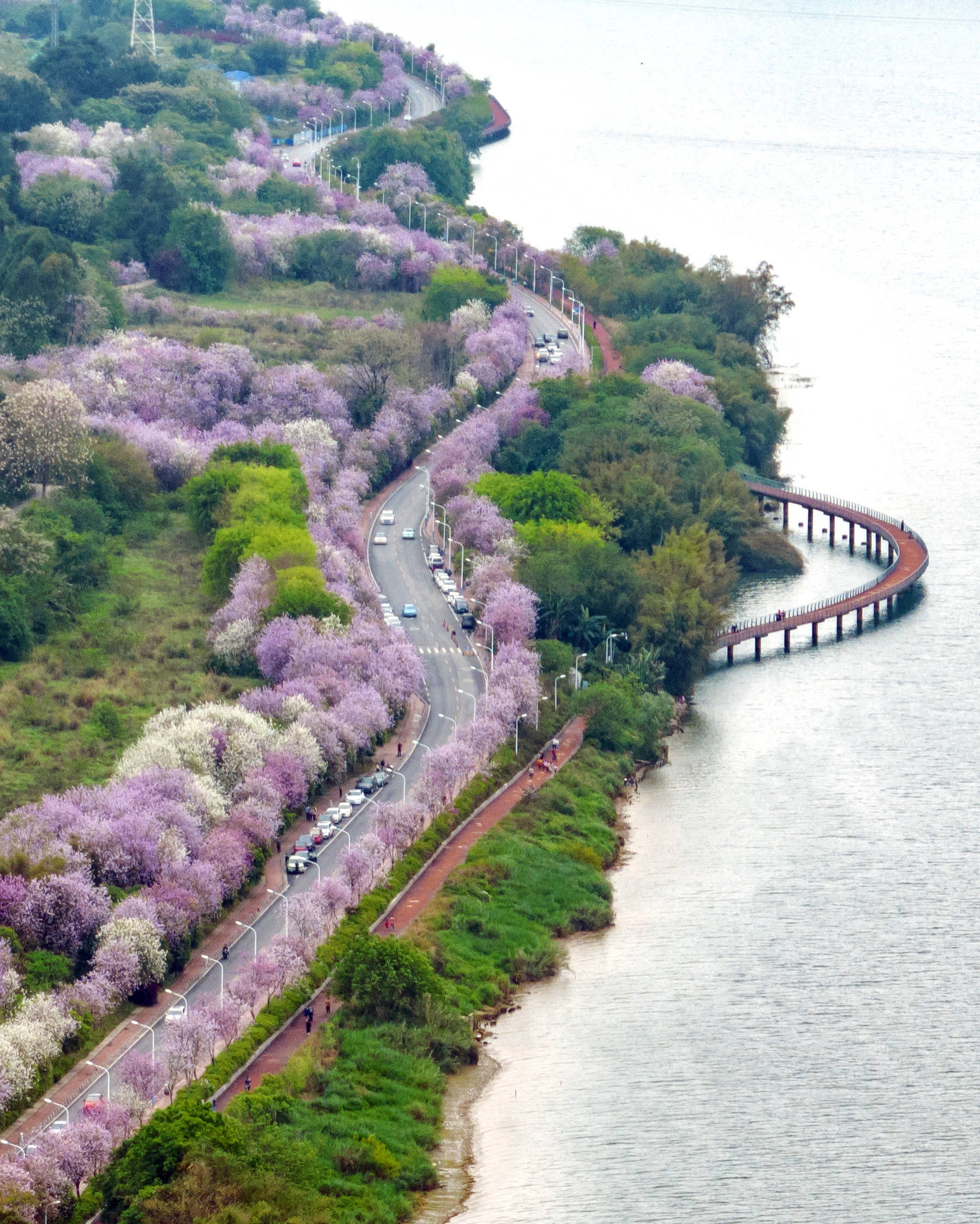 在这座网红城市<strong></p>
<p>火币网</strong>，这场马拉松不愁火不起来