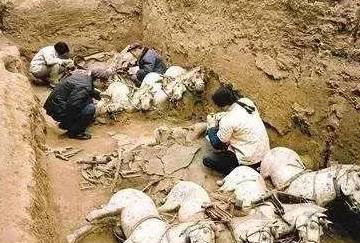 兵马俑挖出的“黑科技”中<strong></p>
<p>黑铜是贵金属</strong>，最逆天的设计，是铜车马上的那把伞