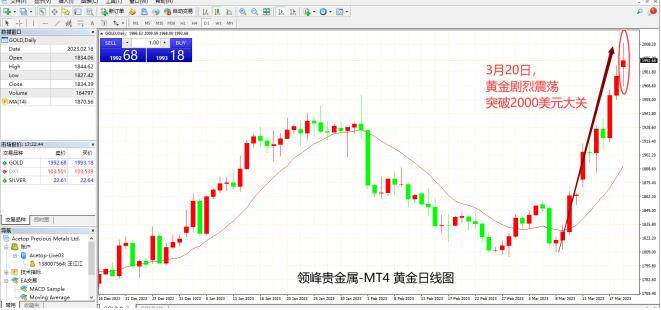 环球金融动荡<strong></p>
<p>铑金贵金属行情</strong>，黄金疯狂！3.22领峰贵金属×金十剖析议息风向