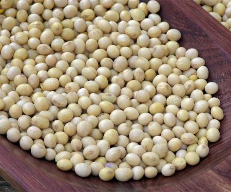 黄大豆、豆粕、豆油期货开户门槛有哪些<strong></p>
<p>贵金属期货开户门槛</strong>？