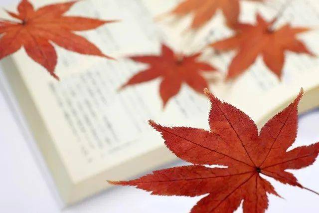【社区活动预告】琥珀磨制、项链制作、益智书法……大盘点<strong></p>
<p>贵金属项链有哪些</strong>！看看下周有哪些精彩活动~