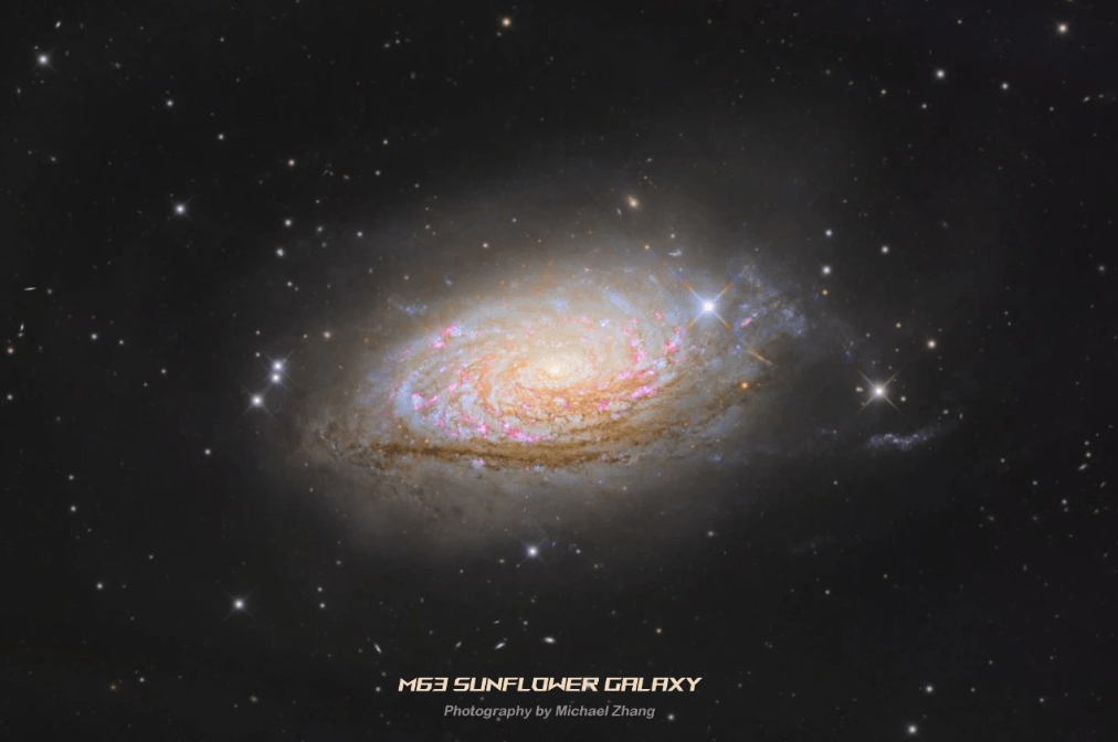 潜入星星深海中<strong></p>
<p>宇宙里的贵金属</strong>，看宇宙里的海豚！