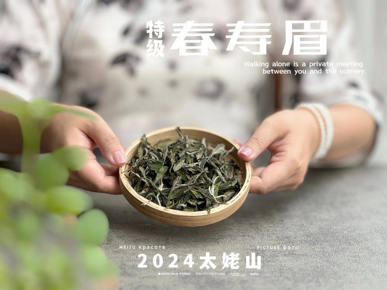 每天喝多少白茶比较合适<strong></p>
<p>贵金属多少克合适</strong>？5克？10克？还是更多？