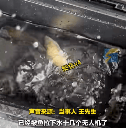 男子在家操控无人机钓鱼<strong></p>
<p>贵金属检测师等级</strong>，当天就钓上十几条，当事人：不要轻易尝试，已被鱼拉下水十几个无人机