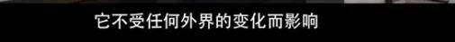 他们那么幸福恩爱<strong></p>
<p>金日贵金属价格</strong>，怎么突然离婚了……