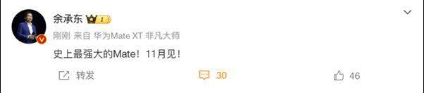 华为Mate 70系列即将发布<strong></p>
<p>贵金属集美区</strong>，余承东称其为“史上最强大的Mate”
