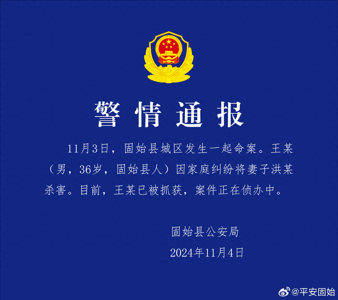 “女子去前夫家探望小孩被杀害？”警方通报：王某(男<strong></p>
<p>贵金属</strong>，36岁)已被抓获