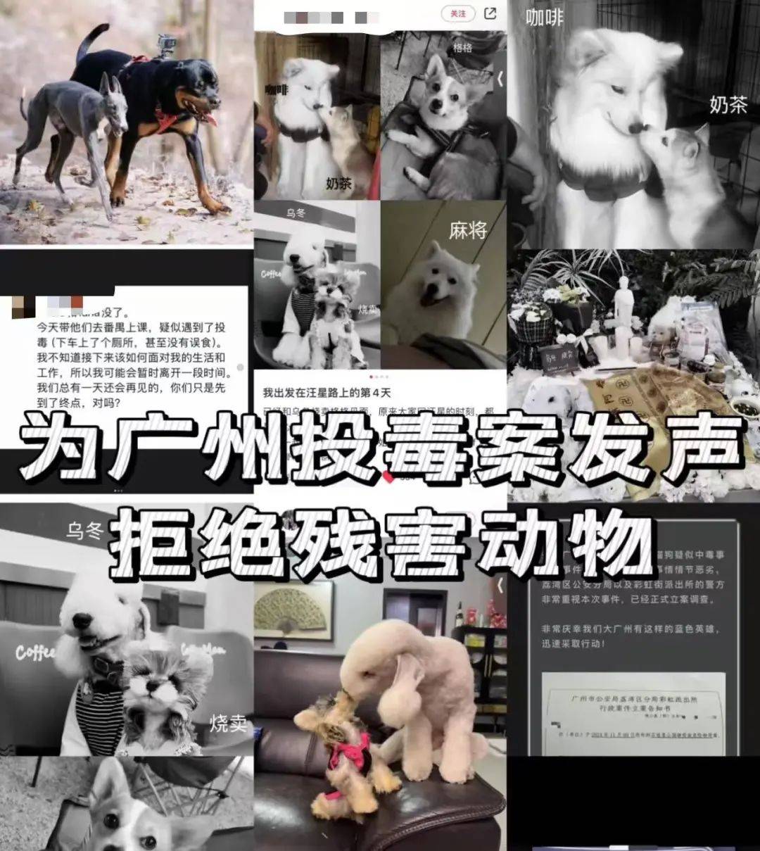 “死亡数据仍在上升”<strong></p>
<p>btc充值</strong>！广州警方介入