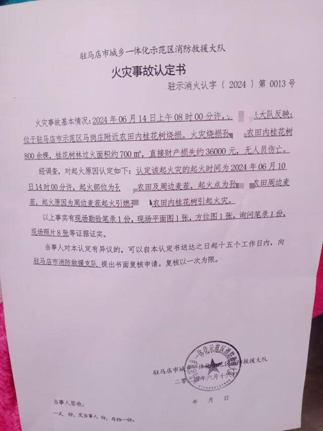 群众近千棵桂花树被烧死<strong></p>
<p>btc交易平台</strong>，为何不立案？驻马店回应