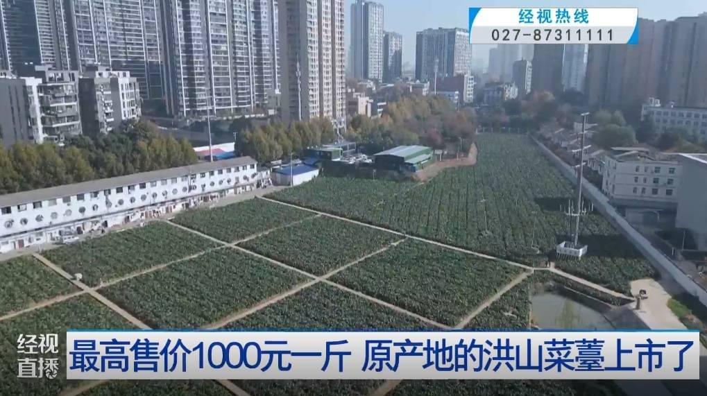 武汉人爱吃！最高1000元一斤<strong></p>
<p>btc币安</strong>，供不应求