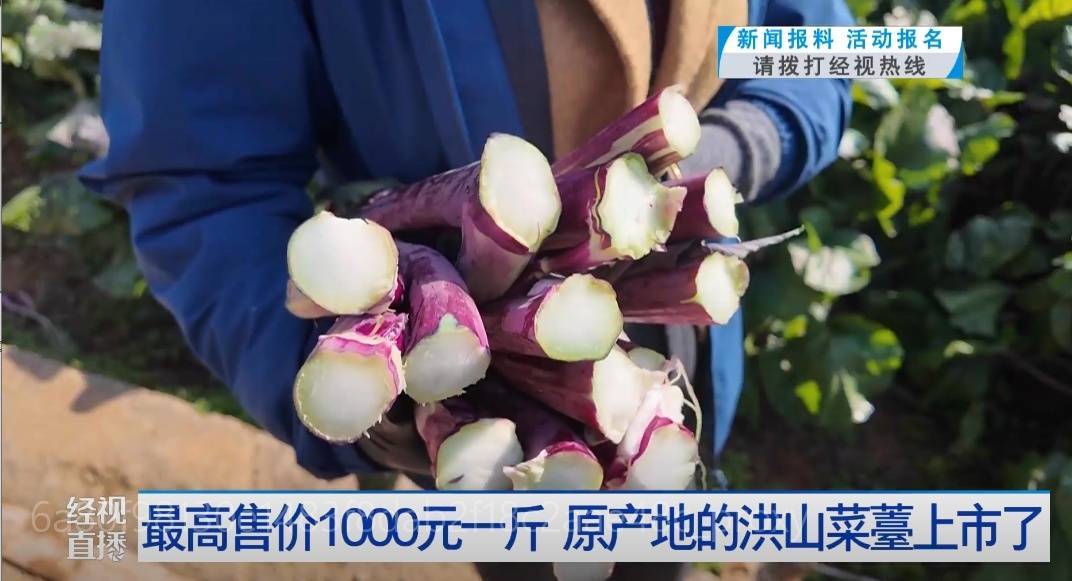 武汉人爱吃！最高1000元一斤<strong></p>
<p>btc币安</strong>，供不应求
