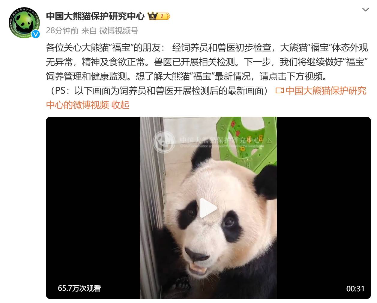 中国大熊猫保护研究中心：经初步检查<strong></p>
<p>btc合约</strong>，“福宝”体态外观无异常