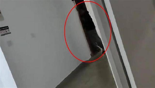 上海一高校男生晚上撞开女生寝室门<strong></p>
<p>btc钱包地址</strong>，校方：醉酒后走错了