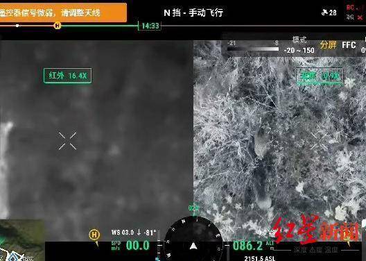 揭秘“野猪猎捕队”丨海拔3000米高山密林<strong></p>
<p>btc mouse</strong>，记者跟队直击猎捕野猪全过程