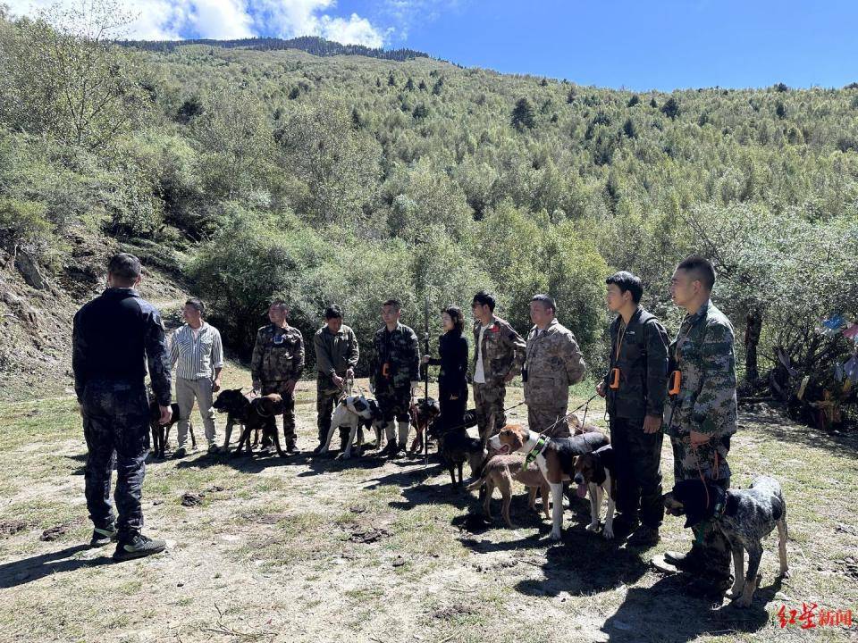揭秘“野猪猎捕队”丨海拔3000米高山密林<strong></p>
<p>btc mouse</strong>，记者跟队直击猎捕野猪全过程