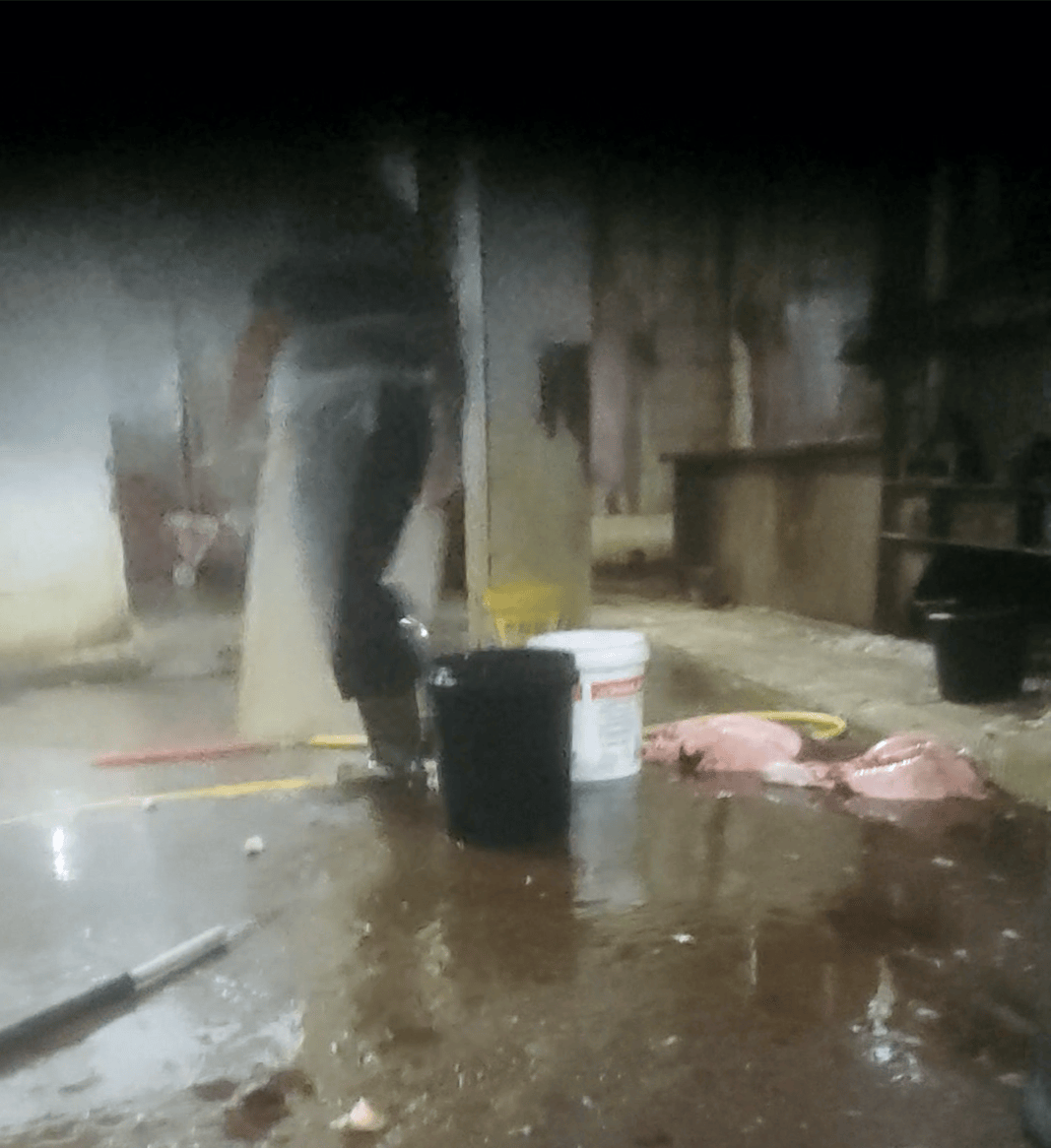 暗访生猪黑屠宰点：无证窝点被封后重新开张<strong></p>
<p>btc mouse</strong>，无检疫猪肉跨省销售