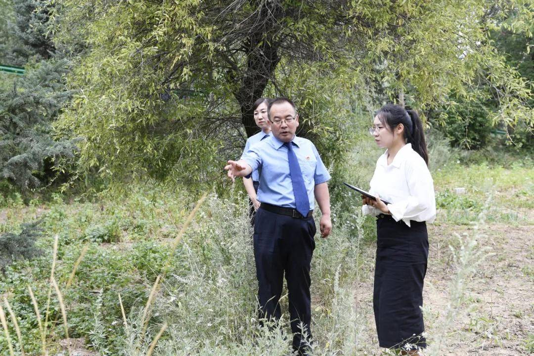 还有8天刑满释放<strong></p>
<p>btc汇率</strong>，十年有期徒刑变为死缓，最高检抗诉的甘肃马某林案获改判