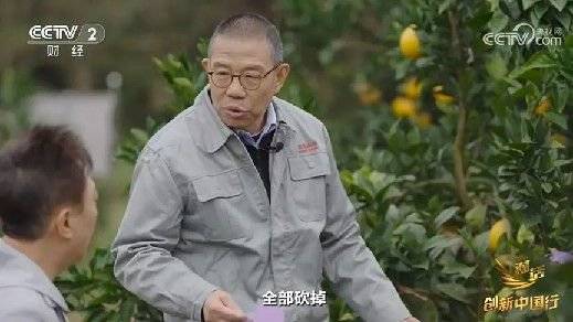 2024年末央视再度专访钟睒睒<strong></p>
<p>btc挖矿软件</strong>，背后有何深意？