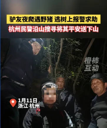 “我现在在树上<strong></p>
<p>btc比特币钱包</strong>，野猪在下面……”杭州一男子深夜报警！