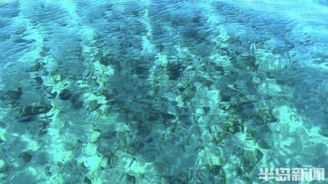 青岛女子买下70万平米小岛后续来了：目前没打算私有<strong></p>
<p>btc比特币钱包</strong>，七八月份将带员工到岛上团建