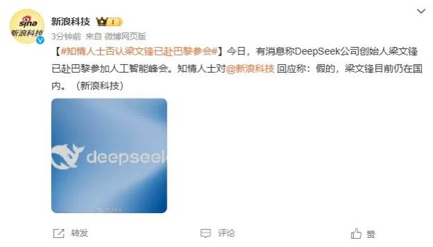 DeepSeek梁文锋用黑科技远程参加巴黎AI峰会？假的<strong></p>
<p>btc虚拟币</strong>！