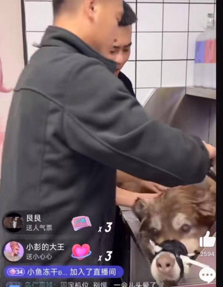 千万粉丝训犬师网红潘宏账号内容被一夜清空<strong></p>
<p>btc大陆</strong>，园区所在地官方：正调查