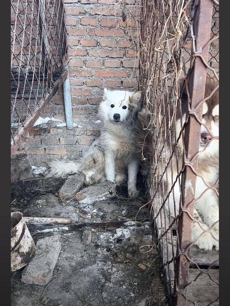千万粉丝训犬师网红潘宏账号内容被一夜清空<strong></p>
<p>btc大陆</strong>，园区所在地官方：正调查