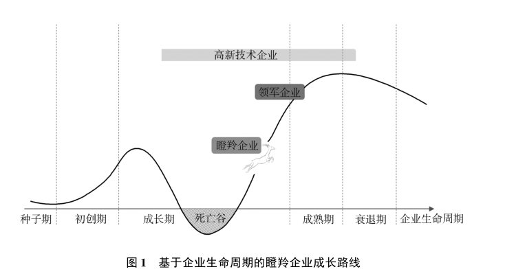 政府工作报告中的新词“瞪羚企业”<strong></p>
<p>泰达币价格</strong>，是什么意思