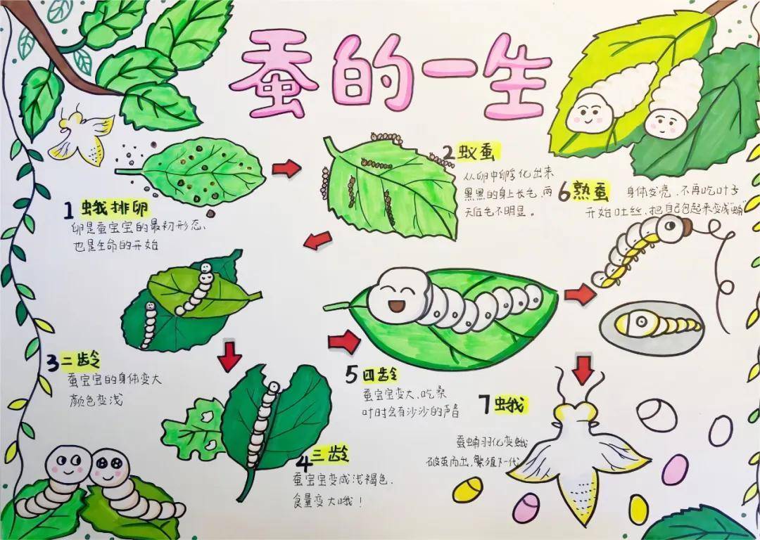 一年卖出1亿条虫！迷倒全国“10后”的小生意<strong></p>
<p>泰达币行情</strong>，有人年入千万