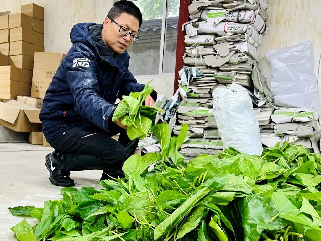 一年卖出1亿条虫！迷倒全国“10后”的小生意<strong></p>
<p>泰达币行情</strong>，有人年入千万