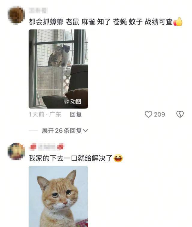 老鼠掉进泳池<strong></p>
<p>泰达币交易</strong>，广东大叔出动鸡猫狗团队，结果全被老鼠吓跑！网友坐不住纷纷晒战绩