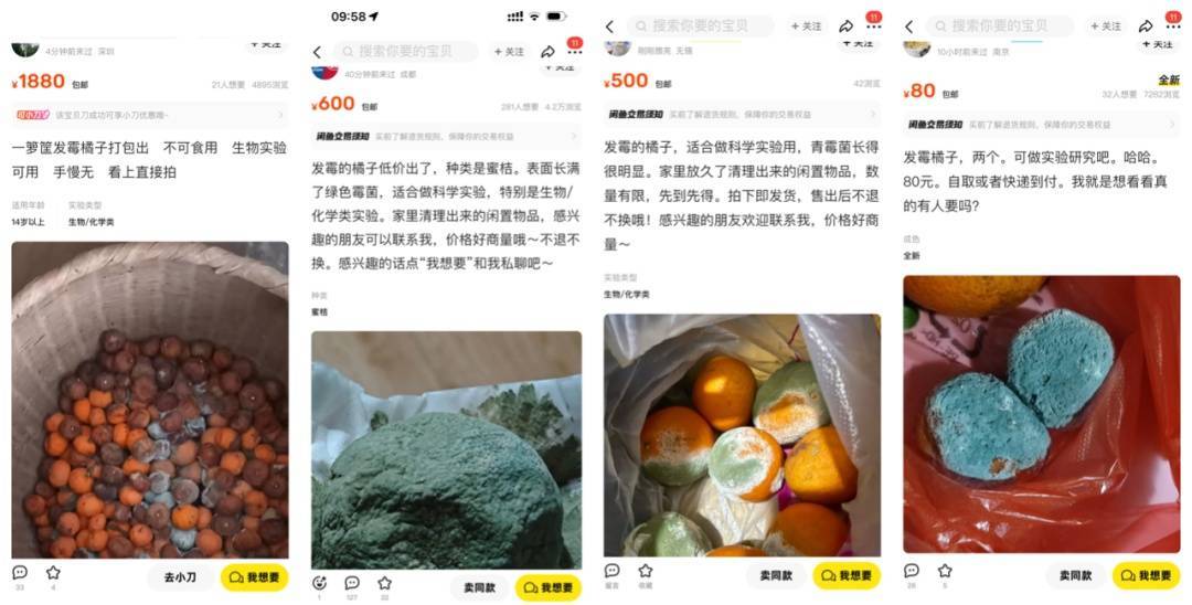 突然火了<strong></p>
<p>泰达币NBA</strong>！有人卖500元一个！网友：后悔扔了……