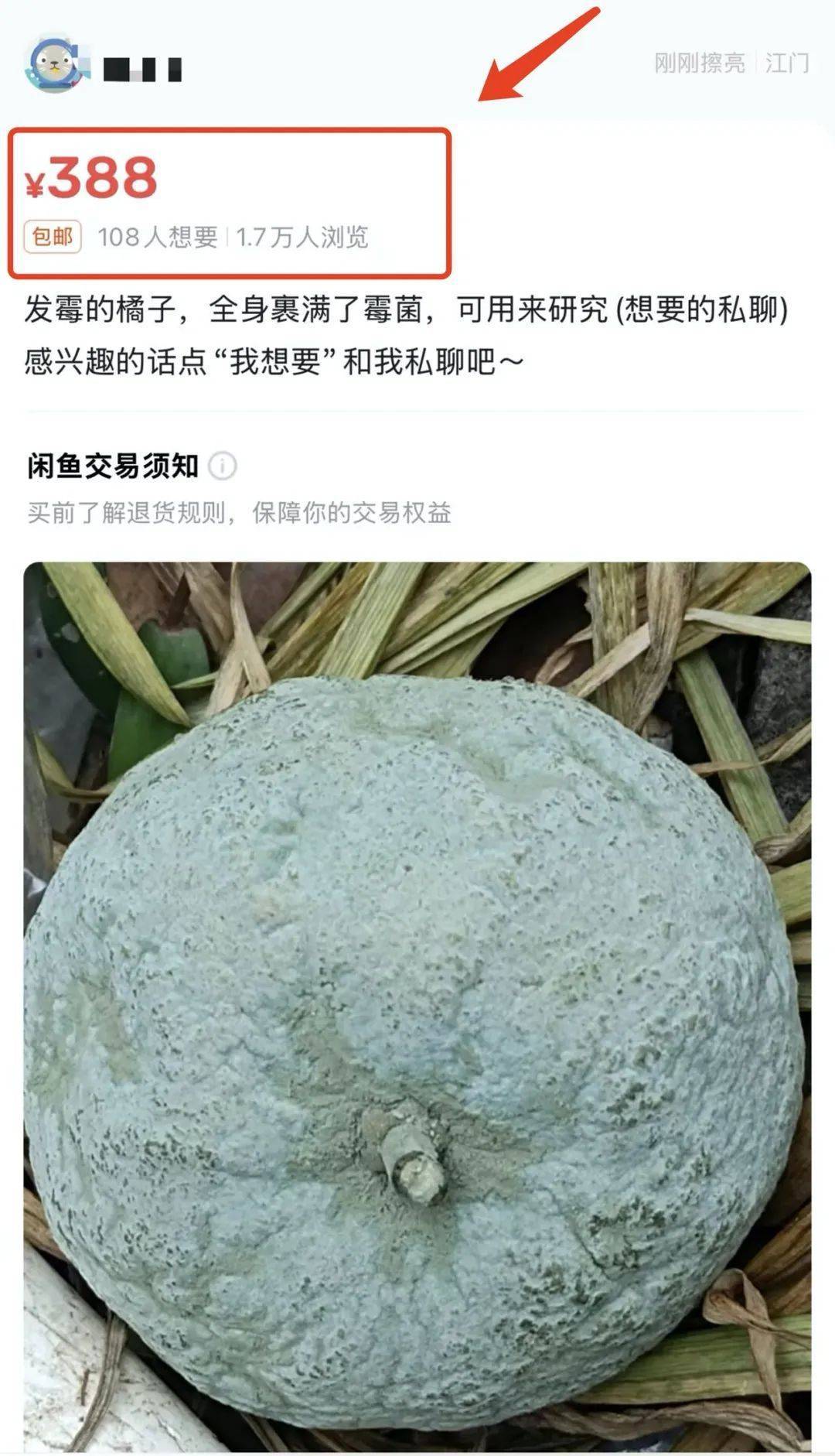 突然火了<strong></p>
<p>泰达币NBA</strong>！有人卖500元一个！网友：后悔扔了……