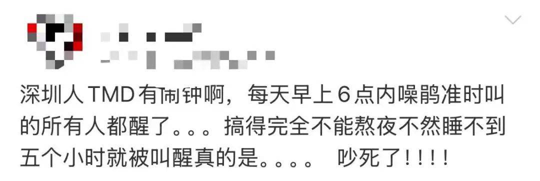 “周末想睡个懒觉都不行”<strong></p>
<p>usdt是什么币</strong>，有多少深圳人被这种鸟吵到神经衰弱