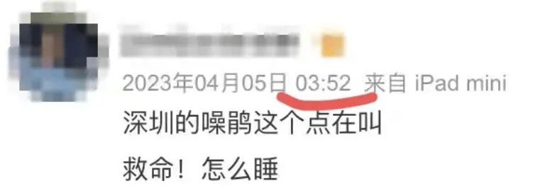 “周末想睡个懒觉都不行”<strong></p>
<p>usdt是什么币</strong>，有多少深圳人被这种鸟吵到神经衰弱