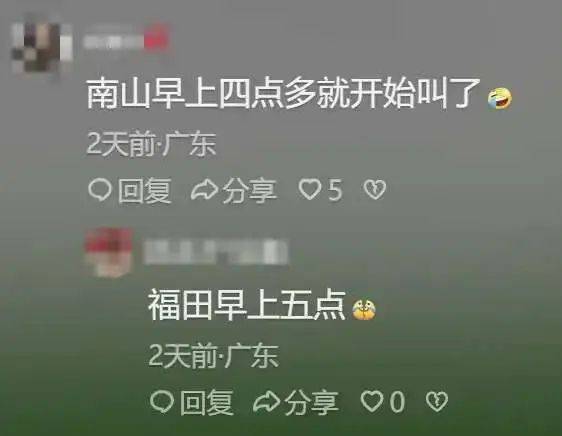 “周末想睡个懒觉都不行”<strong></p>
<p>usdt是什么币</strong>，有多少深圳人被这种鸟吵到神经衰弱
