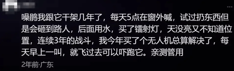 “周末想睡个懒觉都不行”<strong></p>
<p>usdt是什么币</strong>，有多少深圳人被这种鸟吵到神经衰弱