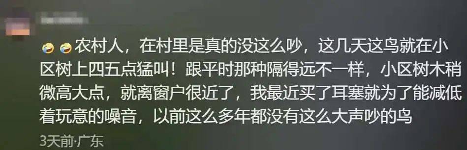 “周末想睡个懒觉都不行”<strong></p>
<p>usdt是什么币</strong>，有多少深圳人被这种鸟吵到神经衰弱