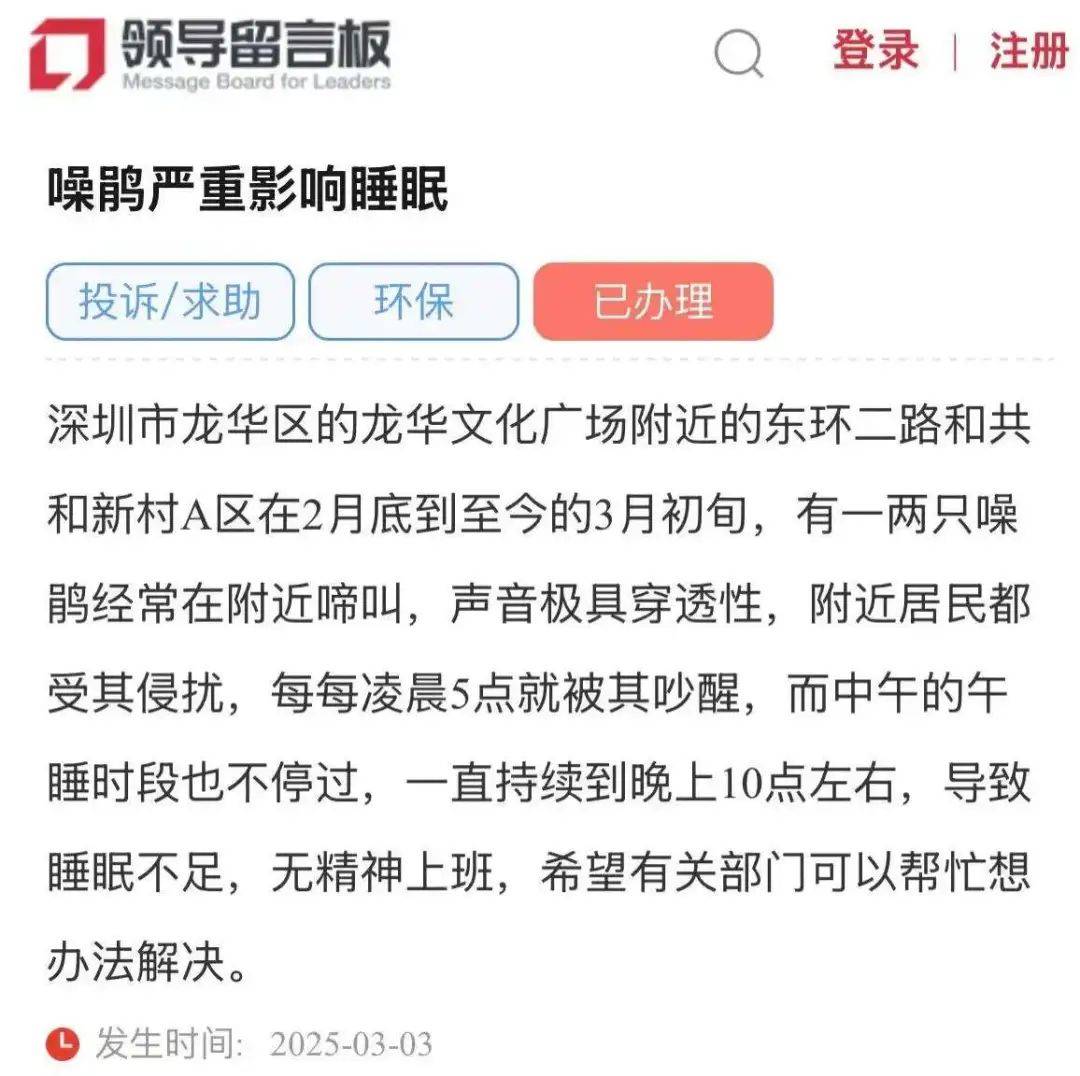 “周末想睡个懒觉都不行”<strong></p>
<p>usdt是什么币</strong>，有多少深圳人被这种鸟吵到神经衰弱