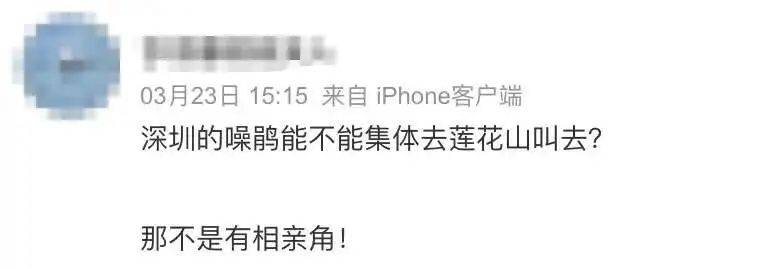 “周末想睡个懒觉都不行”<strong></p>
<p>usdt是什么币</strong>，有多少深圳人被这种鸟吵到神经衰弱