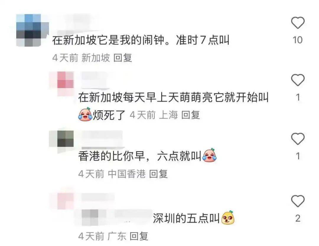 “周末想睡个懒觉都不行”<strong></p>
<p>usdt是什么币</strong>，有多少深圳人被这种鸟吵到神经衰弱