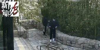 太猖狂！事发上海迪士尼<strong></p>
<p>usdt兑换</strong>，7人被刑拘