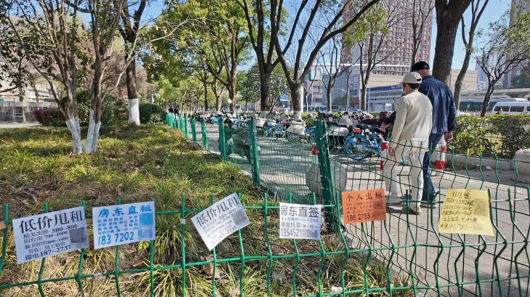 一二线城市房租普降<strong></p>
<p>usdt兑换</strong>，房东主动降200留我
